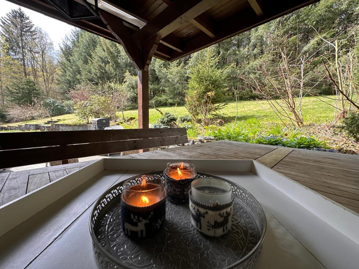 Charming Villa On The Forest In Wald 12 Guests Hugh Garden Willingen Sauerland Брилон Экстерьер фото