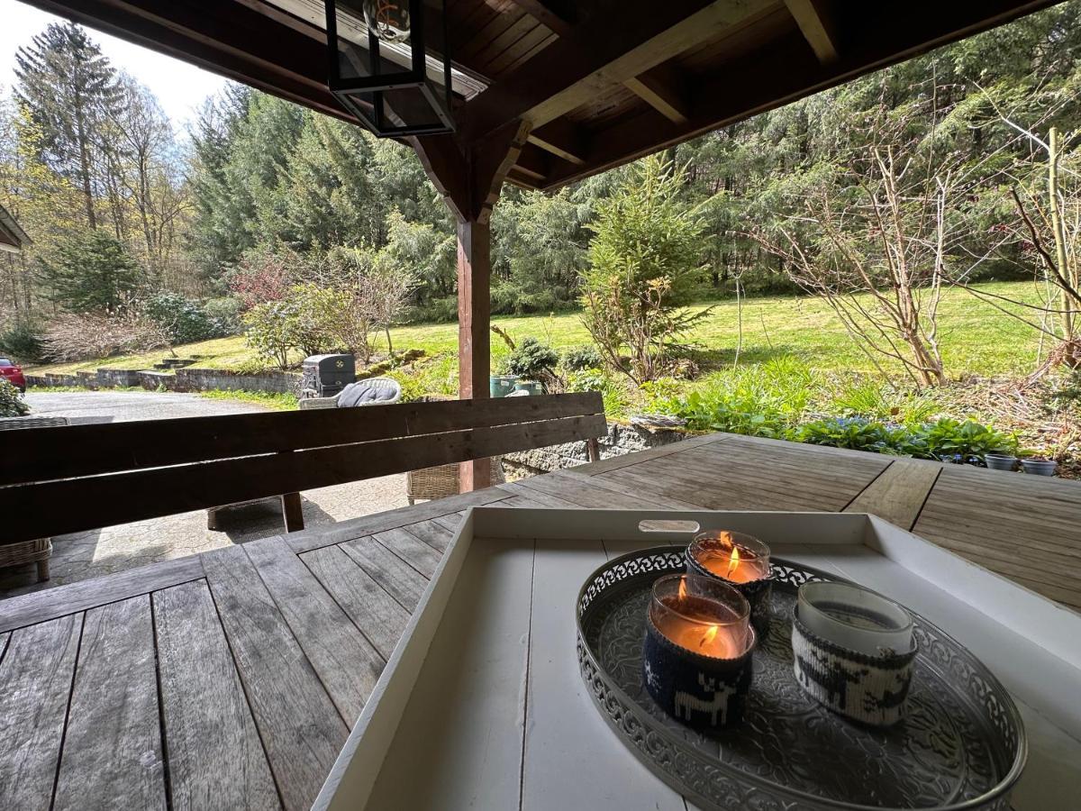 Charming Villa On The Forest In Wald 12 Guests Hugh Garden Willingen Sauerland Брилон Экстерьер фото