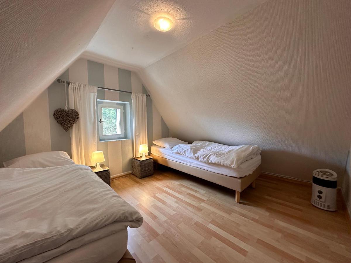 Charming Villa On The Forest In Wald 12 Guests Hugh Garden Willingen Sauerland Брилон Экстерьер фото